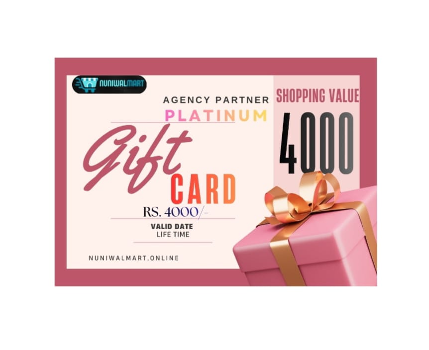 PLATINUM AGENCY PARTNER